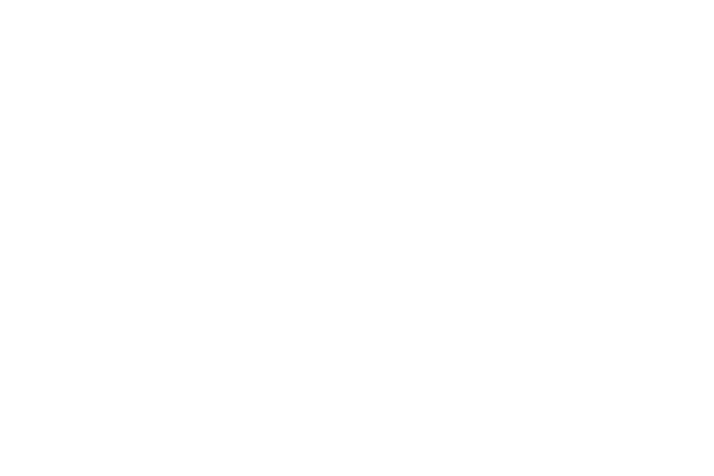 history slider imgae Das Logo von Skinrock (SKINROCK)